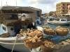 Chania-Kreta-haven-sponzenverkoper-600