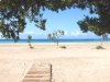 Elafonisi-Kreta-beach-bomen-600