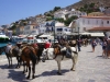 Hydra-vakantie-gezellig-haven-600