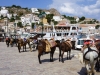 Hydra-vakantie-stad-kade-haven-600