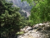 Imbros-kloof-Kreta-groen-600