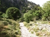 Imbros-kloof-kreta-wandelpad-begin-600