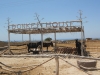 Kos-Donkey-House-600