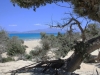 Kreta-Chrissi-eiland-strand-wit-600