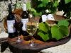 Lefkas-vakantie-Karsanikos-winery-600