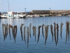 Lesbos-inktvis-drogen-600