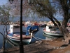 Lesbos-skamioudi-haven-griekenland-600