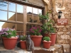 Monemvasia-Peloponnesos-bloempotten-katten-600