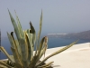 Santorini-Firostefani-600