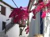 Skiathos-stad-bougainville-pot-600