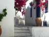 Skiathos-stad-vakantie-bougainville-600