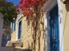 Symi-huizen-bougainville-ano-symi-600