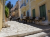 Symi-vakantie-ezeltjes-600