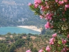 Thassos-vakantie-rododendron-uitzicht-strand-600