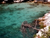 thassos-vakantie-zeewater-griekenland-600