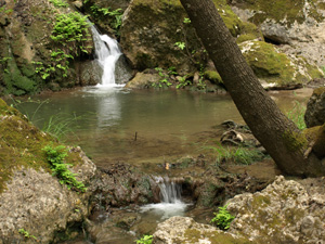 Rhodos de natuurlijke vlindervallei