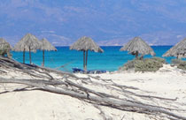 Kreta vakantie Chrissi eiland strand