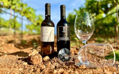 Gentilini winery Kefalonia Robola wijn