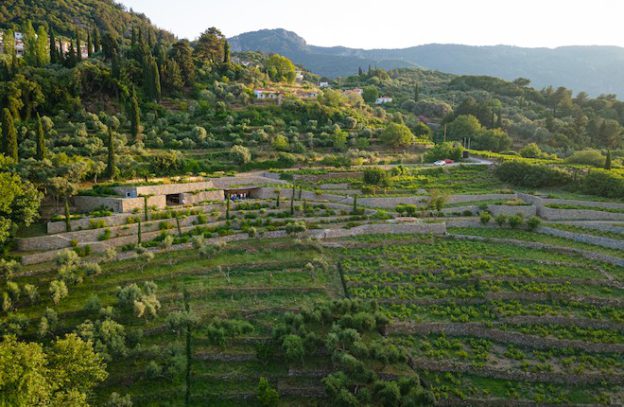 Metaxa Liknon experience op Samos in Griekenland