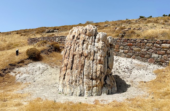 Versteendewoud in Sigri op Lesbos