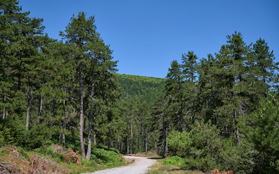 Mount Olympus national park in Pieria