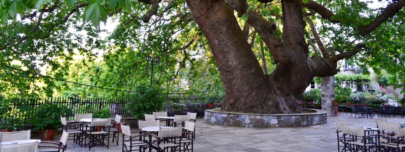 Tsagarada plataan dorpsplein pilion.jpg