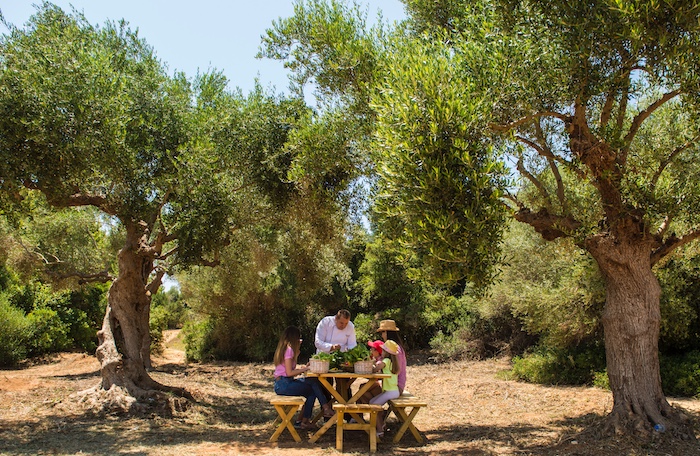 Lunchen tussen de olijfbomen in Costa Navarino in Messinia