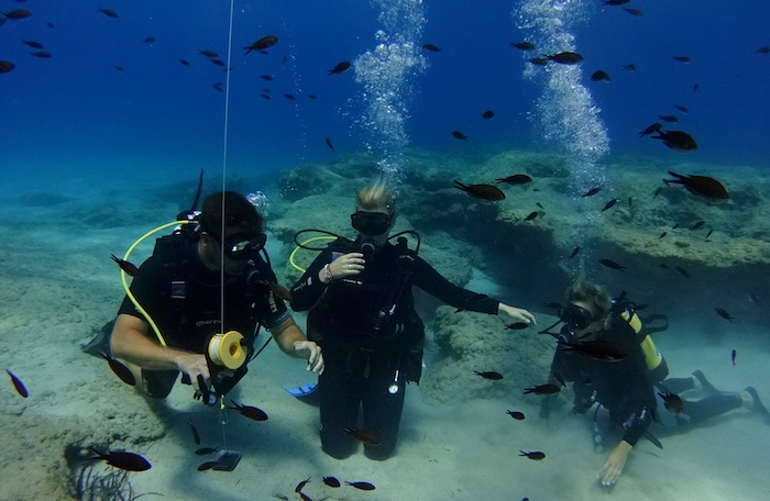 Vissen en onderwaterwereld bij Stoupa op de Peloponnesos