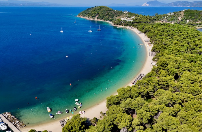 Naaldbomenbos van Koukounaries met de baai en het zandstrand