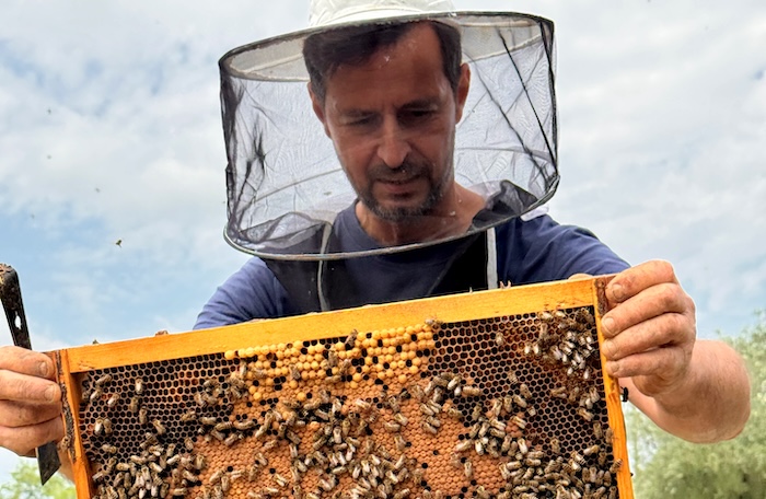 Imker in Sfakera op Corfu