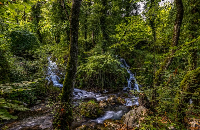 Beekjes en groene wilde natuur van Mastorochoria tijdens wandeling
