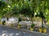 Kythira-vakantie-mylopotamos-pleintje-600