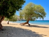 Patmos-Psili-Ammos-beach-600