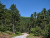 Olympus-National-Park-1